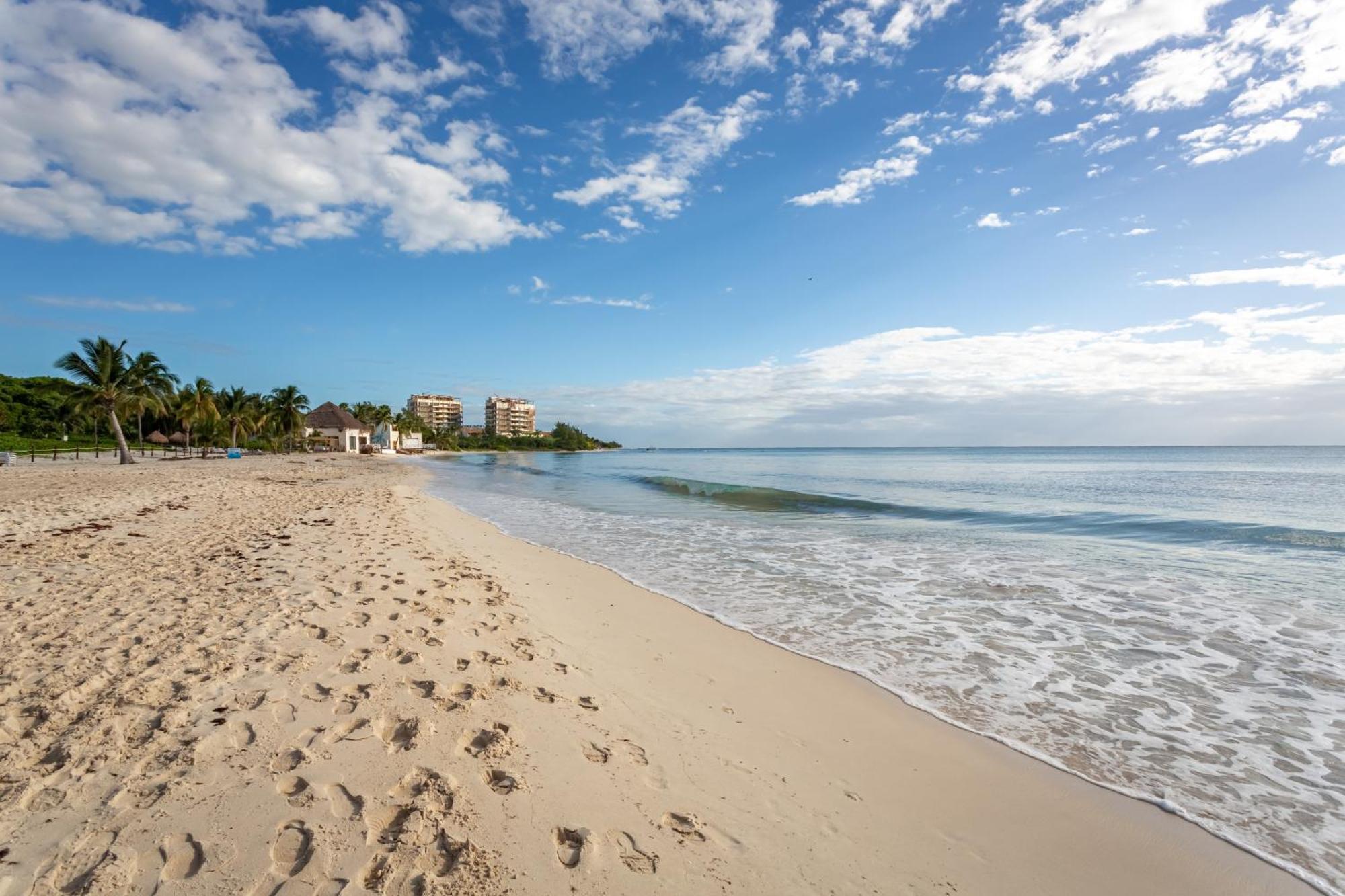 Casa Diva Stunning Ph Ocean View 2 Bedroom & Office At Mareazul Apts